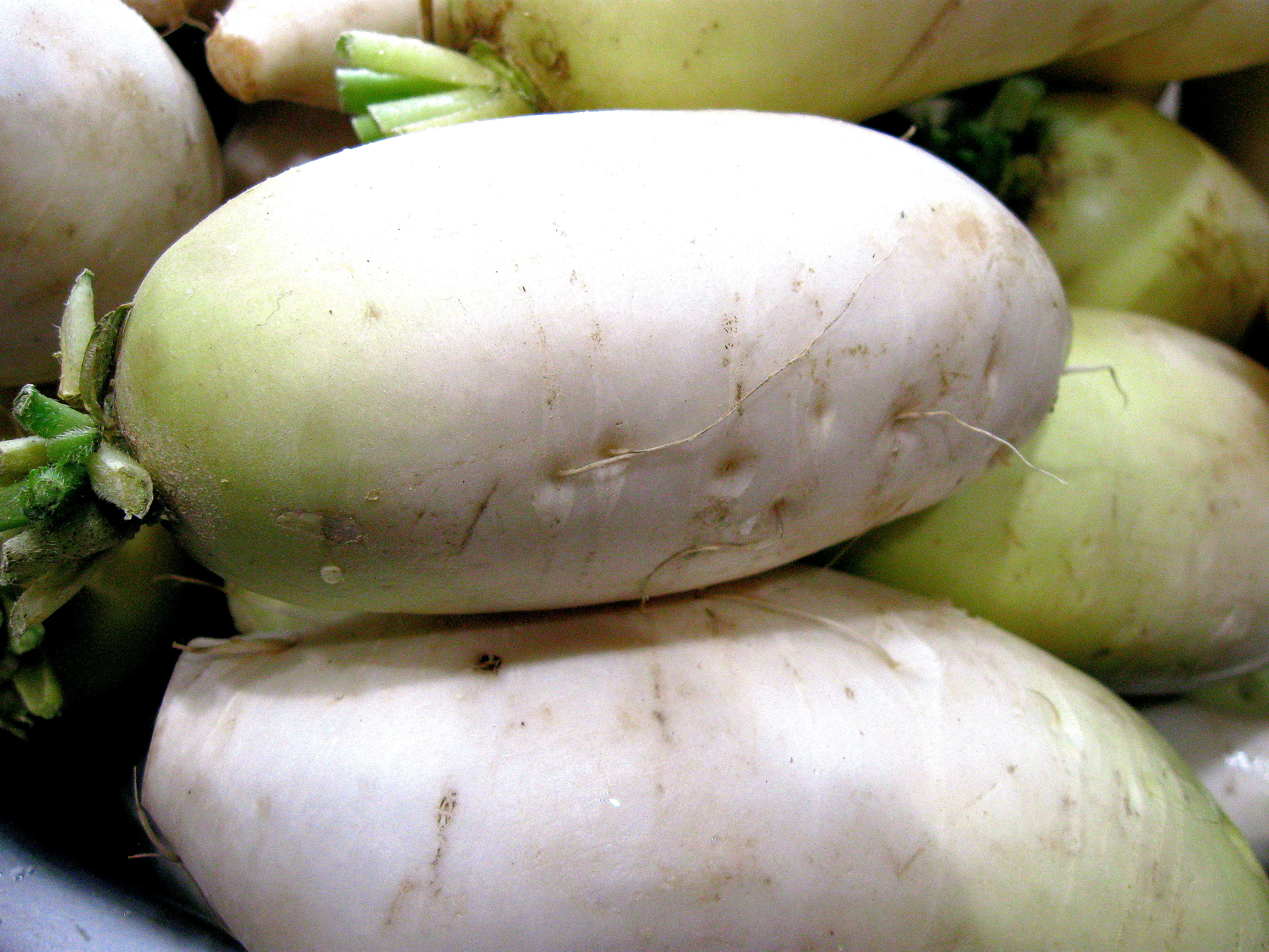 radish